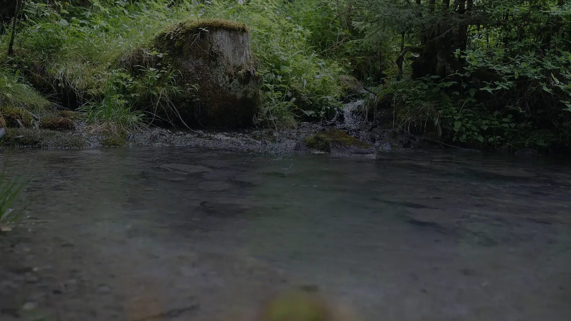 Bach im Wald bei Kandersteg