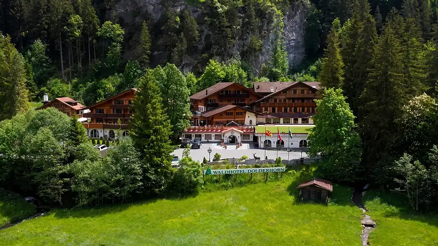 Das Waldhotel Doldenhorn hinter der Wiese, dahinter Wald und Fels