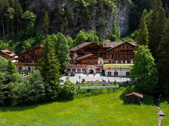 Das Waldhotel Doldenhorn hinter der Wiese