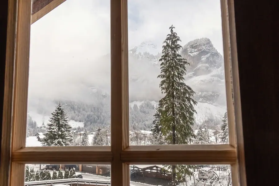Blick aus der Suite auf verschneite Tannen